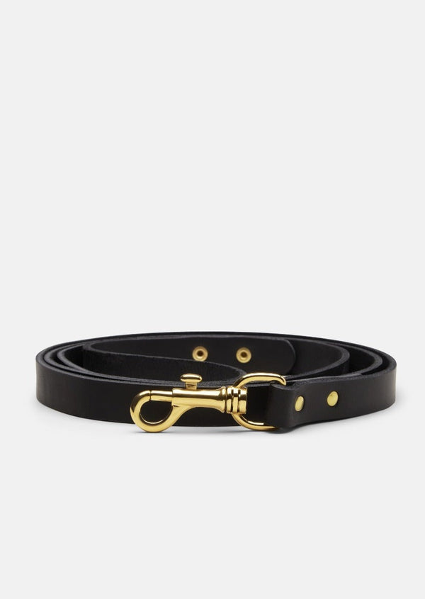 Dog leash – Skultuna x Tärnsjö