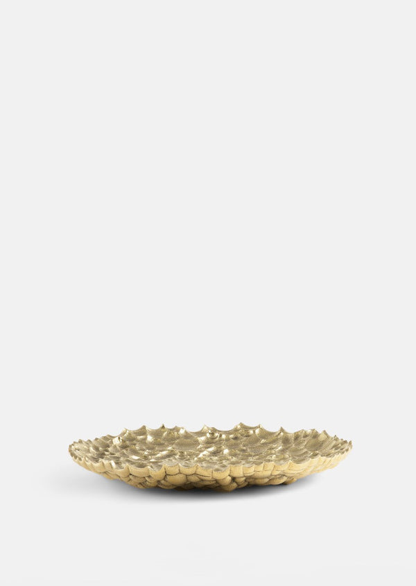 Opaque Objects Tray - Large